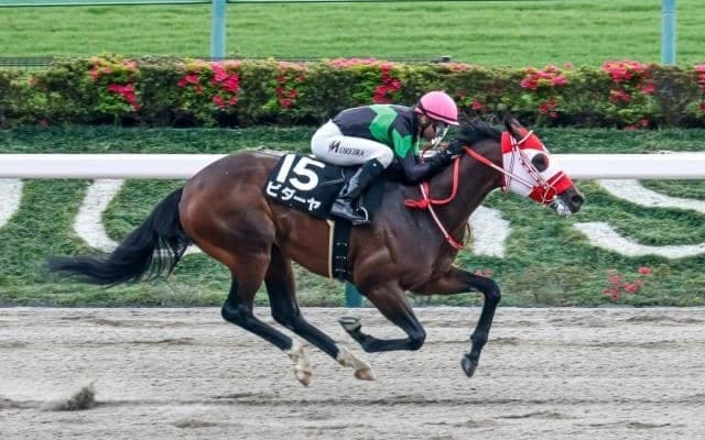 【根岸S想定】ビダーヤ、マテンロウコマンドなど19頭