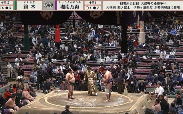 「めっちゃ映ってる」大相撲客席に“ハードコアクイーン”な女子レスラーの姿 “推し”力士のタオル手に十両取組から熱視線