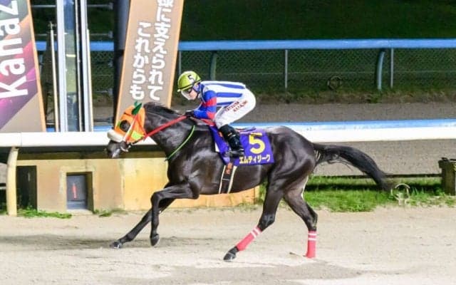 【金沢競馬】2025年度の年度代表馬にエムティジークを選出