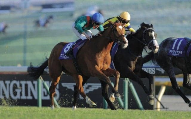 ジャパンカップが世界1位評価…IFHA発表「2025年ロンジンワールドベストレース」を受賞