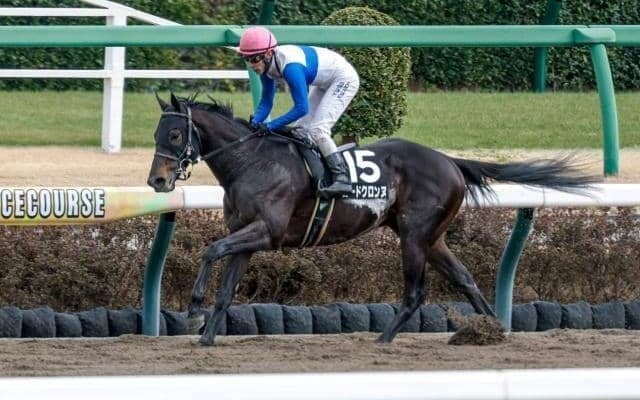 【プロキオンS展望】前走1番人気馬の信頼度高し、みやこS組にも注目