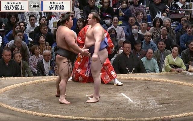 「まだまだまだ！」行司が慌てて制止 立ち合いで起きたハプニングに「珍しいな。安青錦が嫌うのは」館内騒然