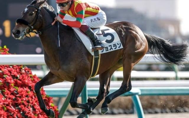 【小倉牝馬S出走馬・騎手確定】ジョスラン＆C.ルメール騎手、ココナッツブラウン＆北村友一騎手など18頭