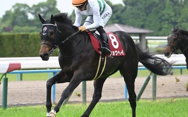 【AJCC出走馬・騎手確定】ショウヘイ＆川田将雅騎手、ジョバンニ＆松山弘平騎手など16頭