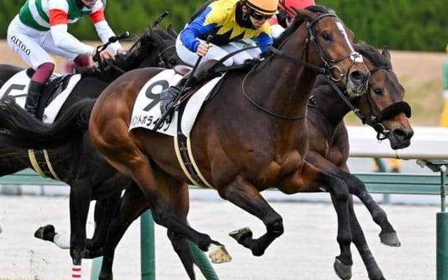 【若駒S】全姉は名牝ディアドラ イベントホライゾンがデビュー2連勝なるか