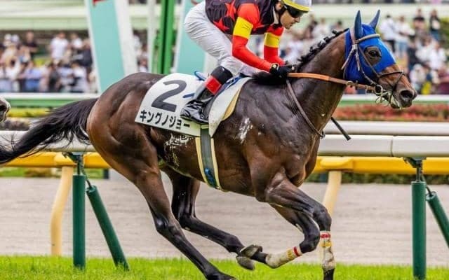 【壇之浦S】半兄はジャスティンパレス セレクト3.1億円のキングノジョーがオープン入り狙う