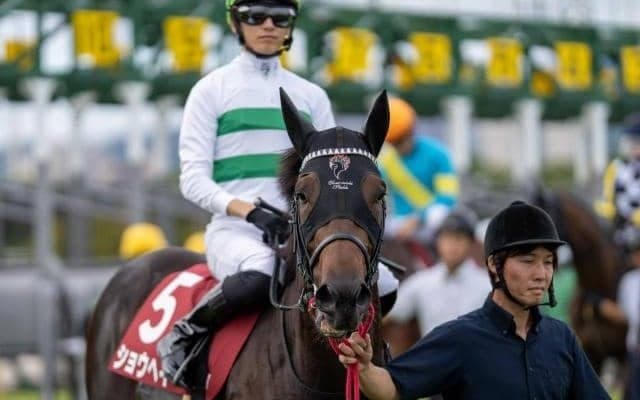 ショウヘイら有力4歳馬が始動するAJCC 年齢別の成績に注目