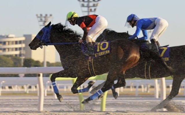 TCKの星・ディクテオン、ワールドベストレースホースランキング71位タイ…地方競馬所属馬として史上初の快挙