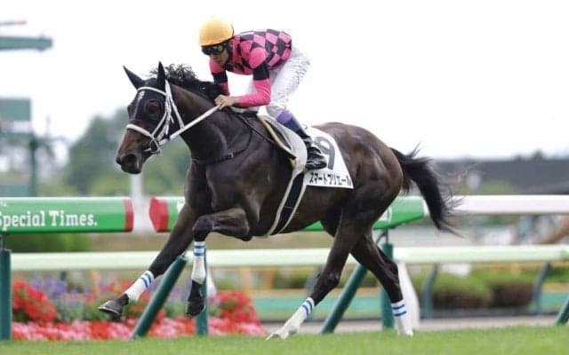 【武豊日記】各馬に合った走りと戦い方