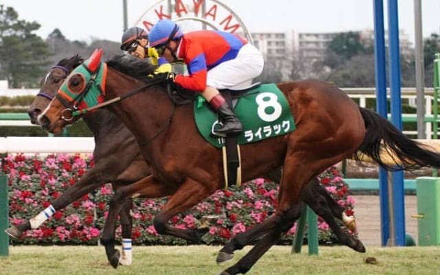 ライラックが引退…繁殖入り