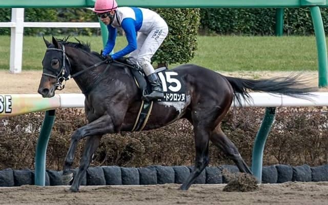 【プロキオンS枠順確定】ロードクロンヌは7枠13番、ブライアンセンスは5枠9番