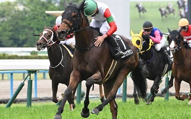 【小倉牝馬S枠順確定】ココナッツブラウンは4枠8番、ジョスランは8枠17番