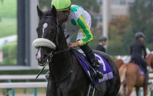 京都芝は意外に逃げ先行馬が残る 睦月Sはニホンピロキーフが狙い目だ