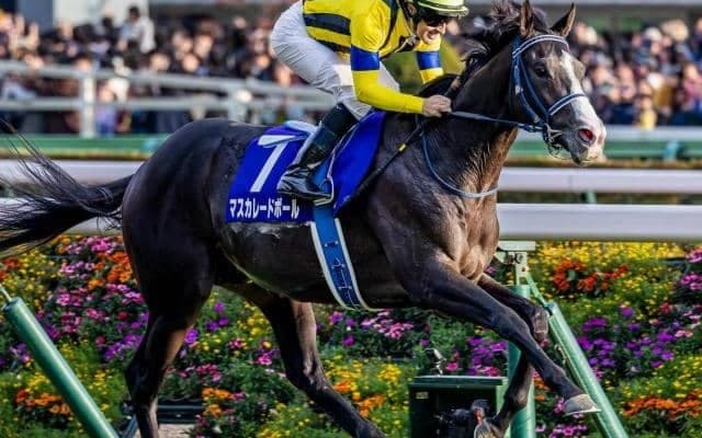 半兄は天皇賞(秋)覇者のマスカレードボール アナザーフェイスがデビュー勝ち狙う