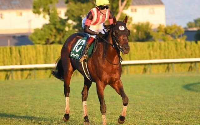 【シルクロードS想定馬・騎手】エーティーマクフィ、ヤブサメなど21頭