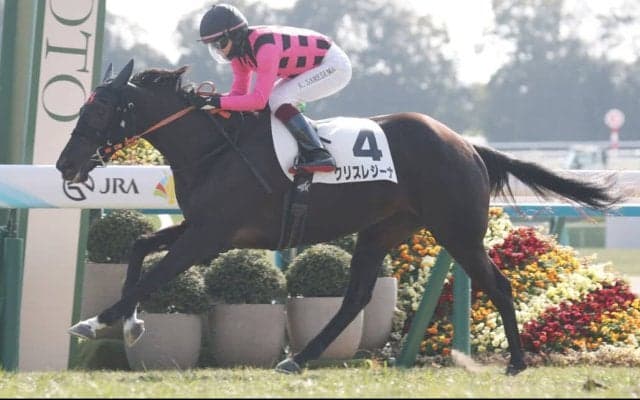 【新馬/京都5R】母はファンディーナ、クリスレジーナがデビューV