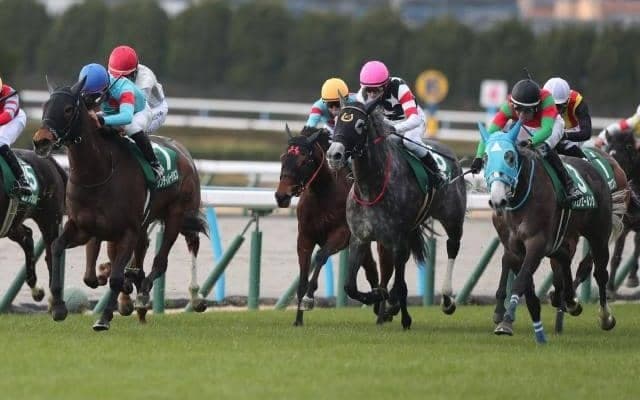 小倉牝馬Sは内枠狙いが吉 血統別ではステゴ系に注目