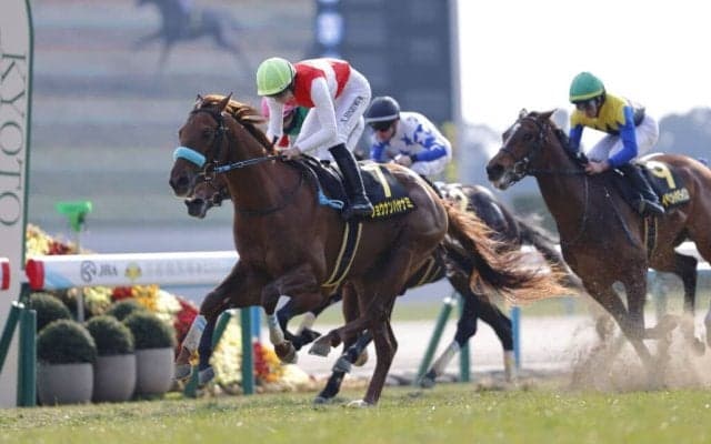 【若駒S】ショウナンハヤナミがデビュー2連勝…大外一気の差し切りV