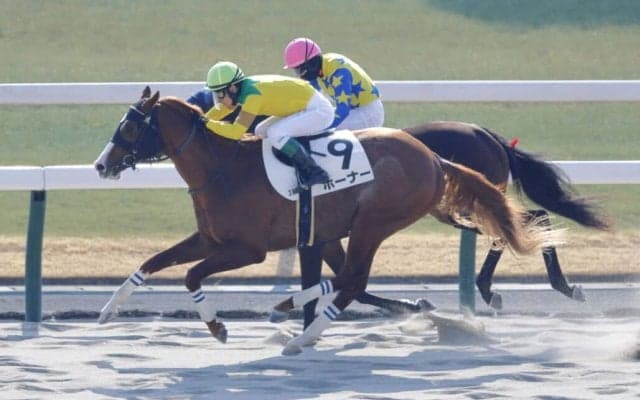 【新馬/京都3R】外国産ホーナーがデビューV…上位人気総崩れの展開