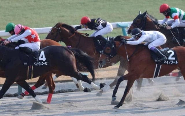 【下鴨S】苦しい展開を跳ね返してアスクシュタインが最内を強襲