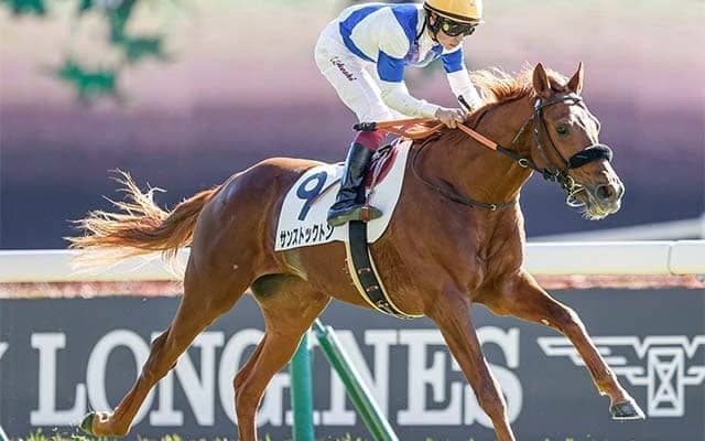 AJCCで単勝20倍以上から好走した伏兵に共通する“3つの条件” 今年の該当馬は3頭