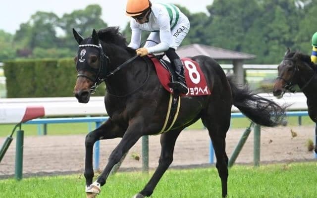 【AJCC予想】中山2200mで実施される伝統の別定重賞 求められるのはロングスパートに耐えうる心肺機能