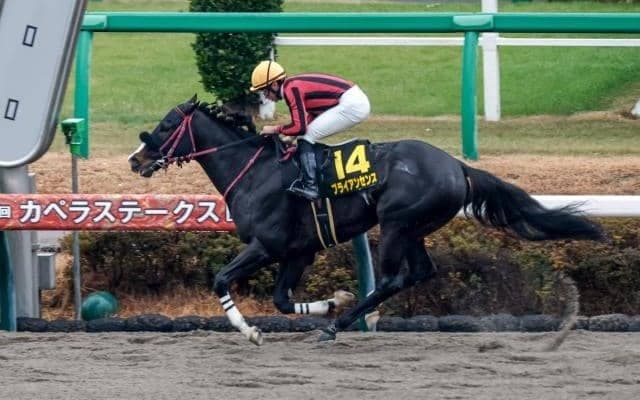 【プロキオンS予想】フェブラリーSの前哨戦 逃げ・先行馬が有利な舞台