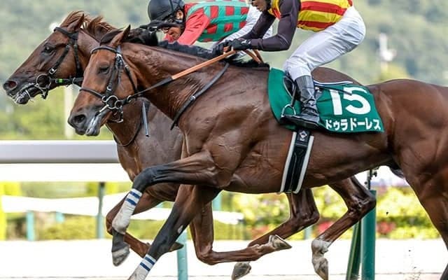 【AJCC予想】上位＆中位人気の組み合わせに妙味あり？ 過去データで探るGII・AJCC