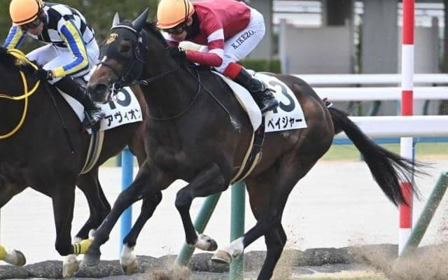 【京都5R新馬戦結果】エピファネイア産駒ペイジャーが人気に応えてV 兄はピクシーナイト