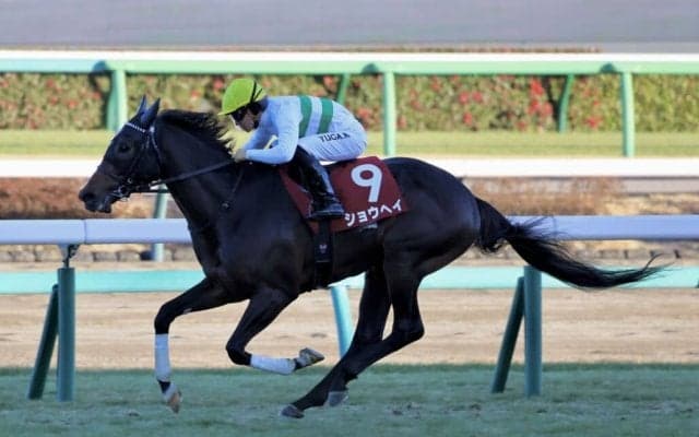 【AJCC】ショウヘイが今年の初陣を制す…重賞2勝目