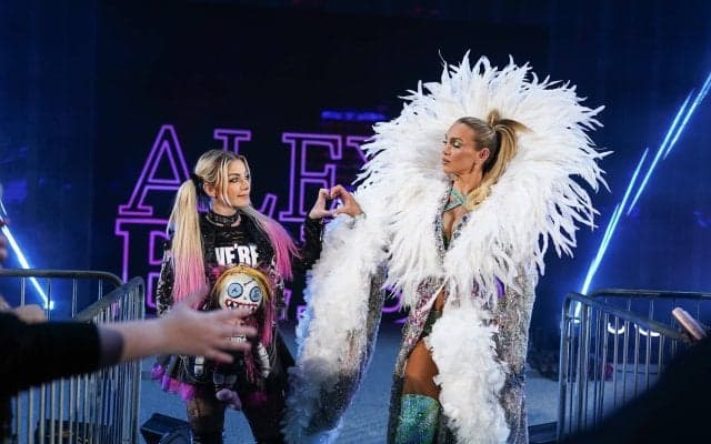 「これは何？」人気女子レスラー、“昨日の敵”と仲良く練習で物議…相棒はブチギレ、日本人女子も介入の“プチ愛憎劇”が話題