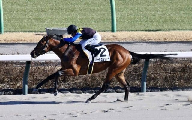 【中山8R】R.キング騎乗 ハードセルツァーが人気に応える快勝