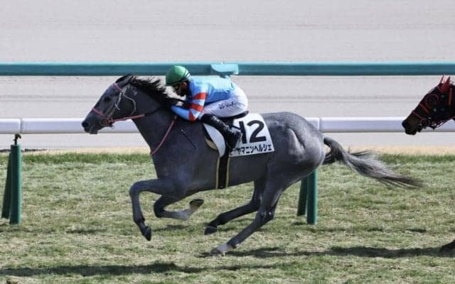 【新馬/中山5R】3連単925万円超！16番人気ヤマニンヘルシェが大波乱を演出