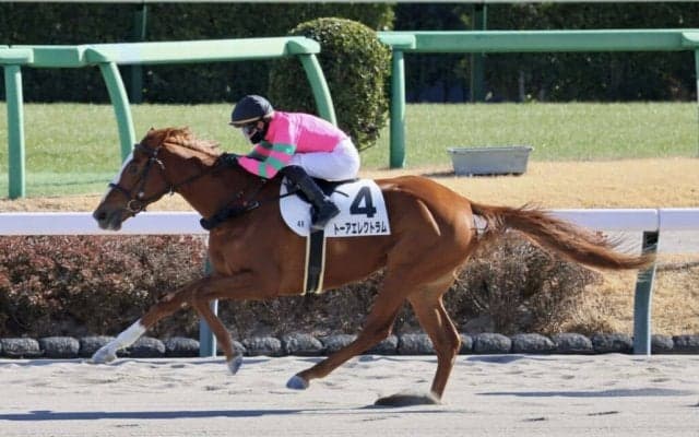 【新馬/中山4R】9番人気の伏兵トーアエレクトラムの豪快な追い込みが炸裂