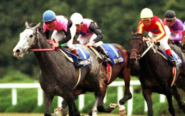 『ウマ娘』でも描かれる同期の良友たちとの熾烈な争い　ビワハヤヒデがリベンジを果たした５馬身差の圧勝劇