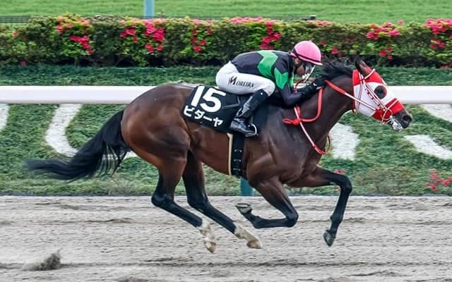 【根岸S】ビダーヤ、エンペラーワケアらが登録