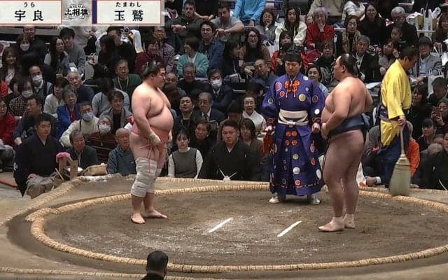 「髪型目立つ」大相撲千秋楽に人気タレントの姿 「リアクションが毎回オモロイw」熱心な姿も話題