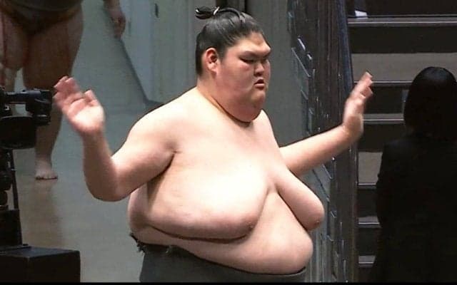 「不思議なバランス」「手足細い」巨漢力士、“ほっそり”手足にファン驚き