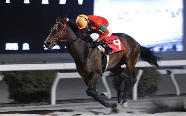 【高知・土佐水木特別】追われても譲らず！クスダマが準重賞2勝目