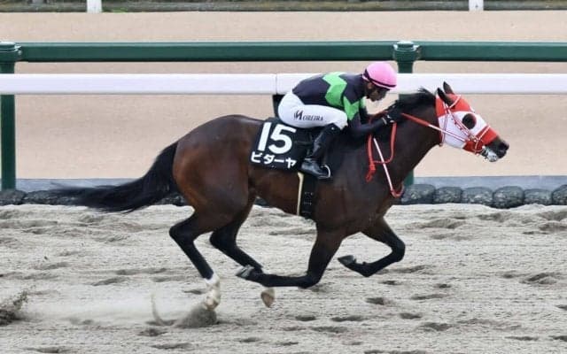 【根岸S登録馬】ビダーヤなど23頭