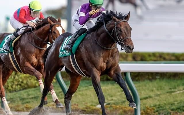 【根岸S見どころ】安定感光るエンペラーワケア