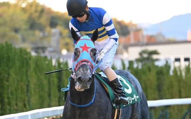 【シルクロードS見どころ】ブランク明けもビッグシーザーが巻き返す