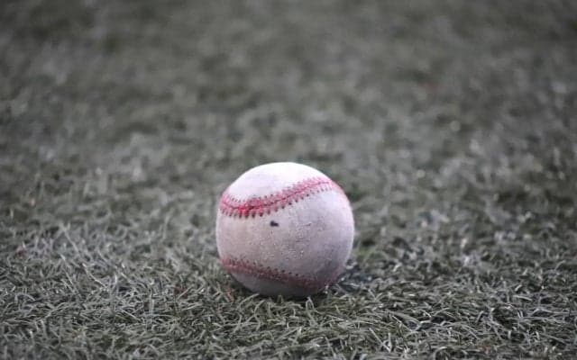 四国IL・徳島にソフトバンクコーチ・細川亨の長男が加入…元NPB選手の息子は関本ジュニアに続き2人目