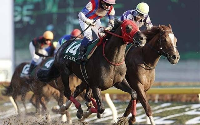 根岸S勝ち時計ランキング 1位は約2年半ぶりの復活V