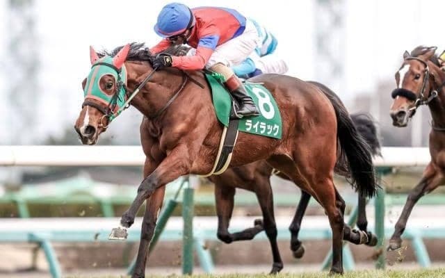 【先週のJRA抹消馬】22年フェアリーS覇者ライラック、ダート4勝のサウンドアレグリアなど