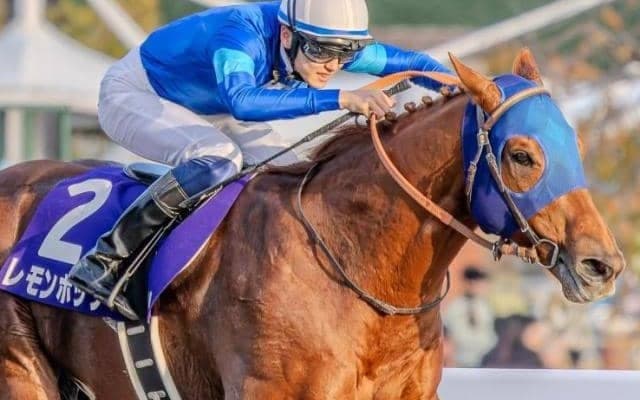 ドウデュースやレモンポップなど 2026年に初年度産駒が生まれる新種牡馬を紹介