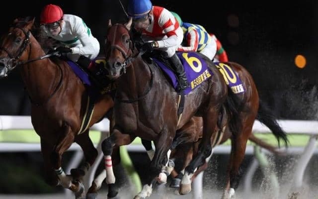 【AI予想・根岸S】フェブラリーSに直結する重要な一戦！ 近走の敗因が明確な人工知能の本命候補