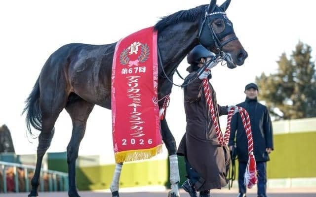 ショウヘイがAJCCを制覇 サートゥルナーリア産駒の活躍馬に共通する血統背景とは