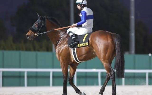 【根岸S展望】距離短縮ローテと中団待機策が好走の鍵、ロードフォンスのJRA重賞初Vに期待