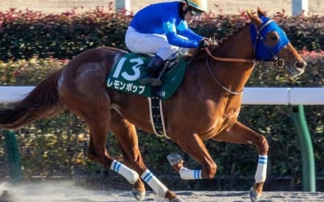 今年初産駒が誕生 レモンポップが重賞初制覇した23年の根岸S
